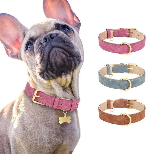 Dog Collar